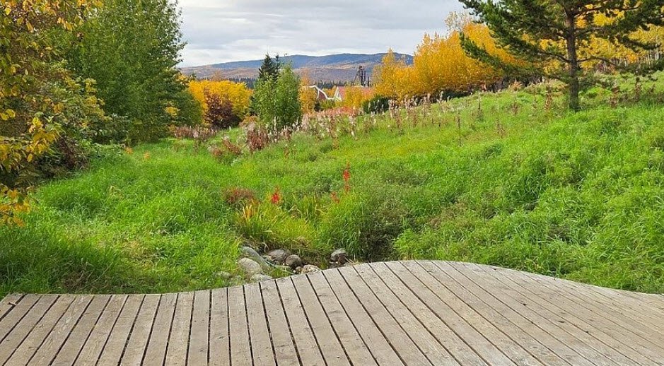 Georgeson Botanical Garden, United States